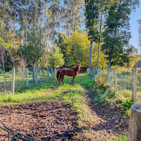 Casa Do Moinho Rural Campo E Praia , 9 Pessoas, Animais Benvindos Espinho  Exterior photo