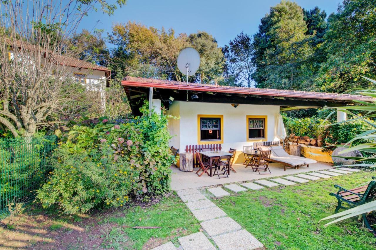 Casa Do Moinho Rural Campo E Praia , 9 Pessoas, Animais Benvindos Espinho  Exterior photo