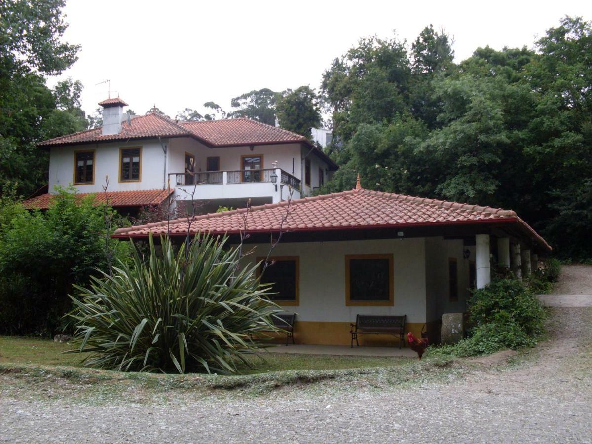 Casa Do Moinho Rural Campo E Praia , 9 Pessoas, Animais Benvindos Espinho  Exterior photo